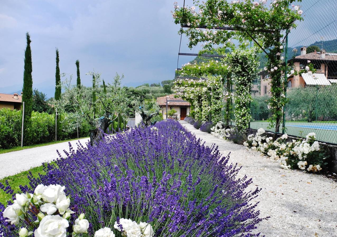 Miramonti Bed and Breakfast Iseo Buitenkant foto